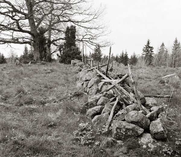 F�r trettio �r sedan