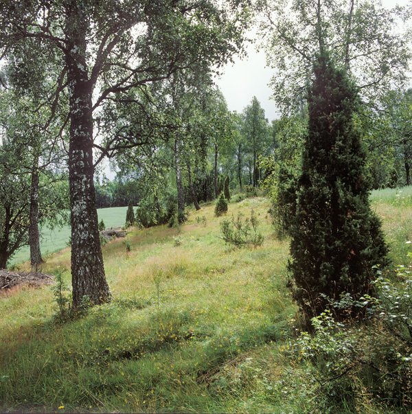 För trettio år sedan