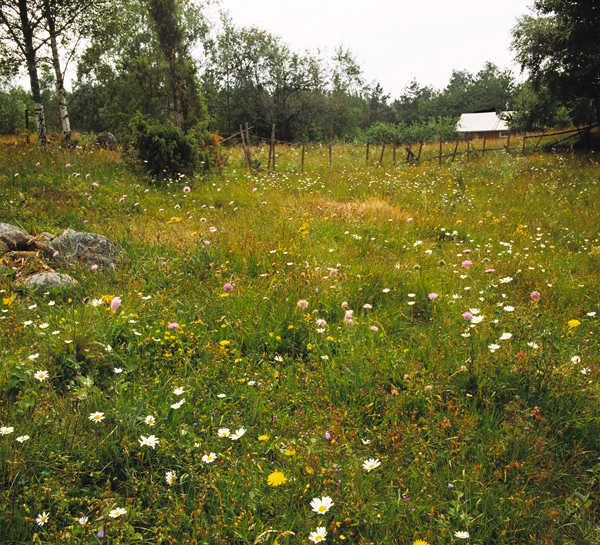 För trettio år sedan