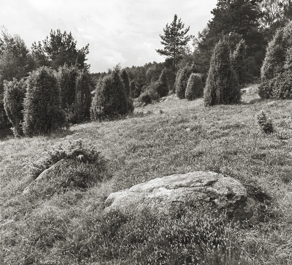 F�r trettio �r sedan