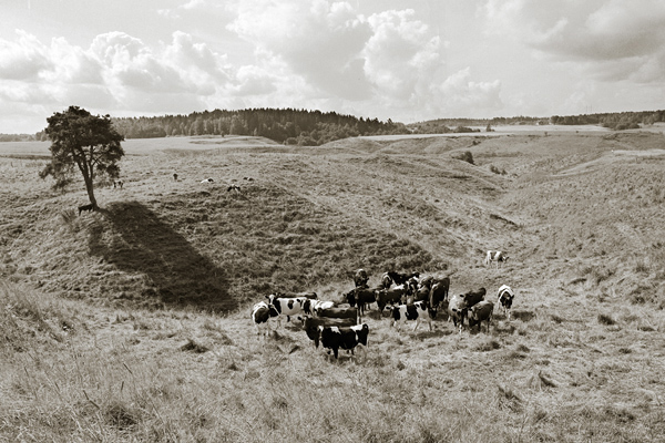 F�r trettio �r sedan