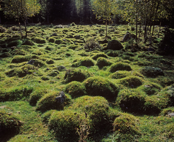 F�r trettio �r sedan