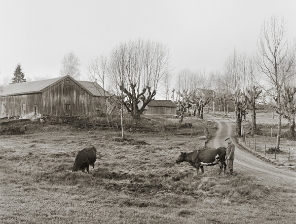 F�r trettio �r sedan